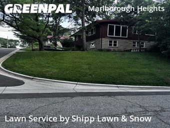 Yard Mowing nearby Madison, WI, 