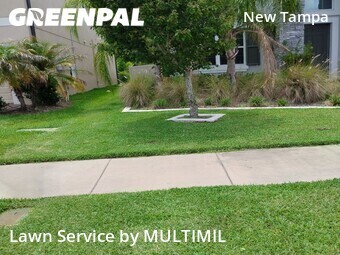 Lawn Mowing nearby Tampa, FL, 