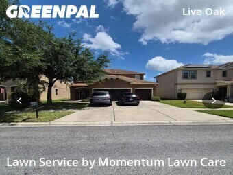 Lawn Mowing nearby Tampa, FL, 