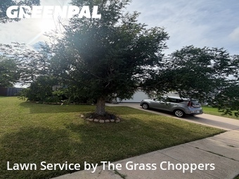 Yard Cutting nearby Krum, TX, 