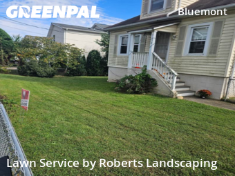 Lawn Maintenance nearby Arlington, VA, 