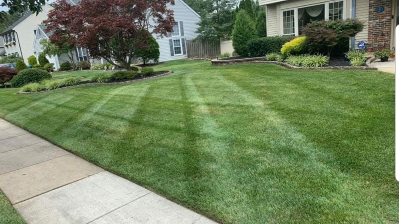 Order Lawn Care in Dacula, GA, 30019