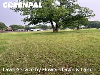 Yard Cutting nearby Arlington, TX, 