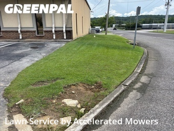Lawn Cut nearby Homewood, AL, 