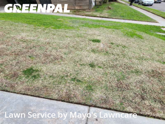 Work completed by local-lawn-cutting-services-in-Fresno-CA