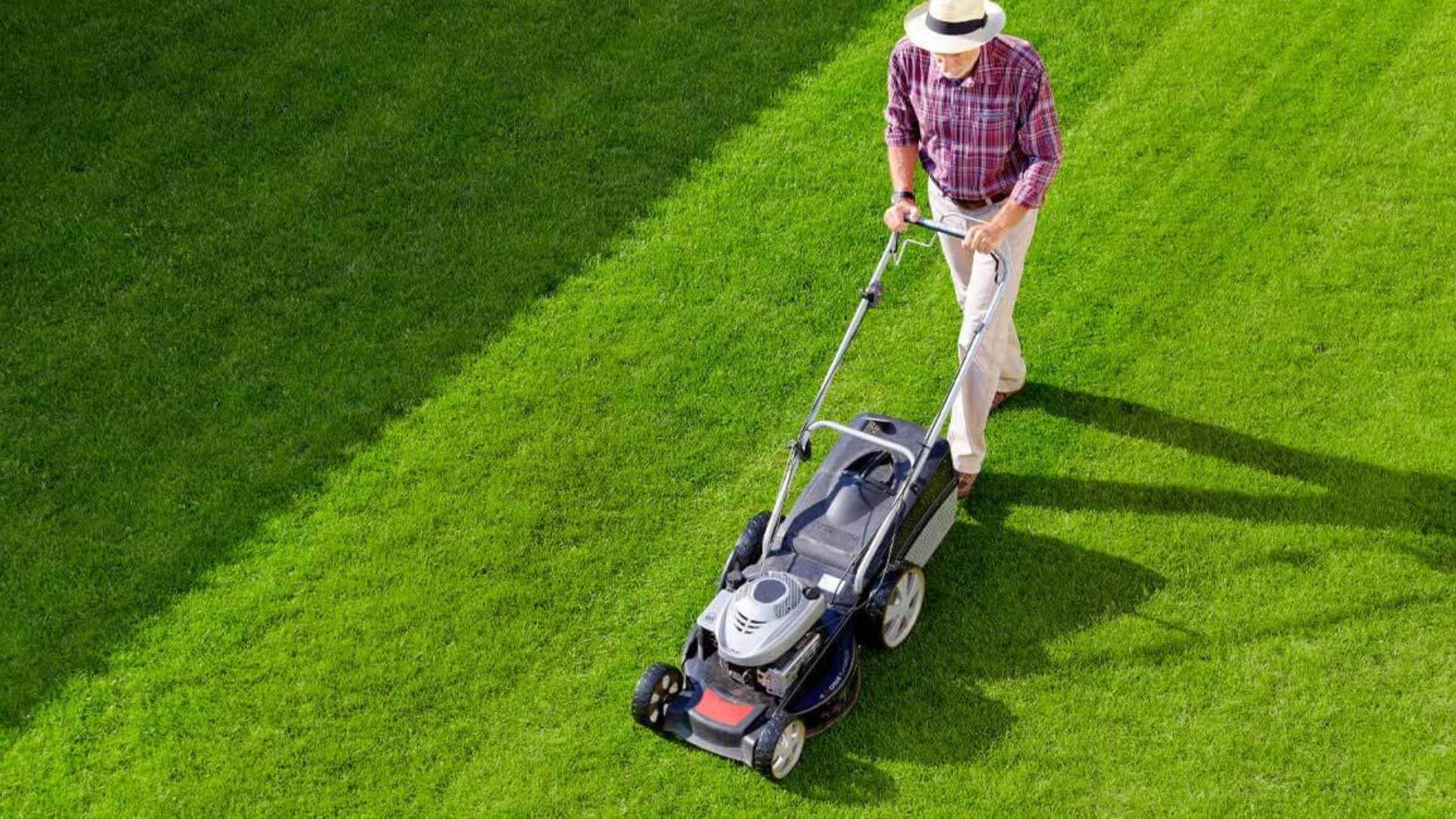 What is the One-Third Rule for Mowing Grass? | GreenPal Guide By Greenpal