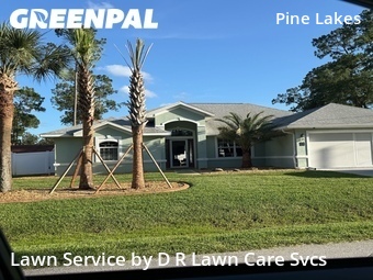 Lawn Mow nearby Palm Coast, FL, 