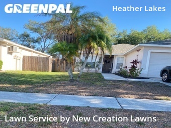 Lawn Service nearby Brandon, FL, 