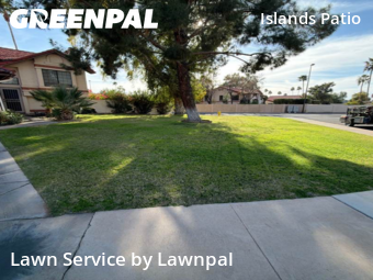 Lawn Mow nearby Gilbert, AZ, 