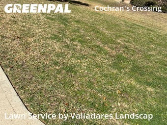 Lawn mowed in The Woodlands, 77381