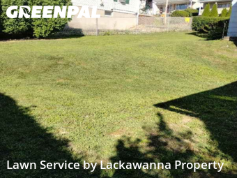 Lawn Mow nearby Avoca, PA, 