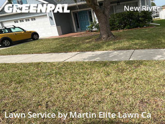 Lawn Cut nearby Wesley Chapel, FL, 