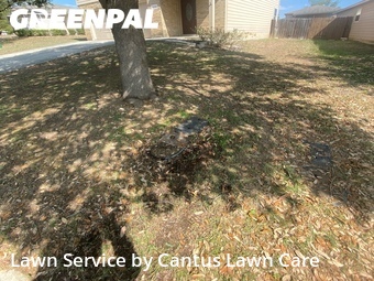 Lawn Cutting nearby San Antonio, TX, 