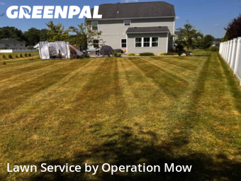 Yard Cutting nearby Uniontown, OH, 