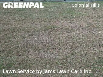 Lawn Care nearby Holiday, FL, 