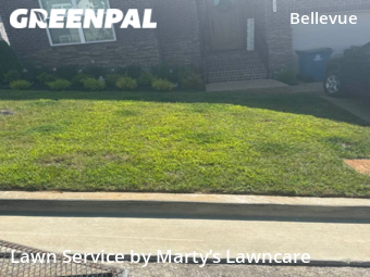 Lawn Mowing Service nearby Nashville, TN, 
