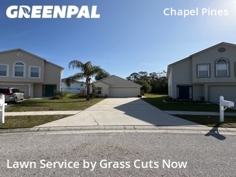 Lawn Care nearby Wesley Chapel, FL, 