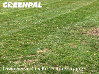 Yard Cutting nearby Nashville, TN, 