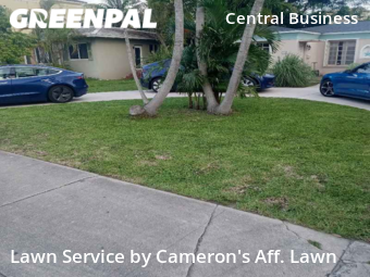 Lawn Cut nearby Hollywood, FL, 