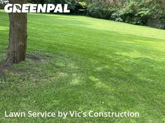 Grass Cutting nearby Lisle, IL, 