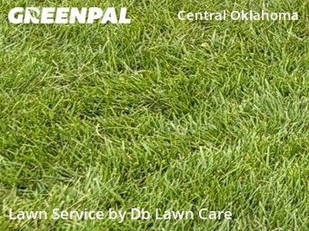 Yard Cutting nearby Oklahoma City, OK, 