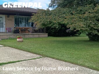 Lawn Maintenance nearby Roseville, MI, 