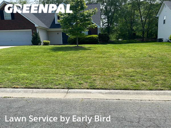 Lawn Care nearby Indian Trail, NC, 