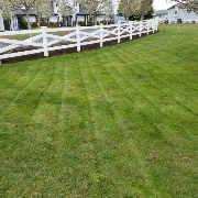 lawn-maintenance-in-Edmonds-WA