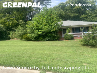 Yard Mowing nearby Charlotte, NC, 