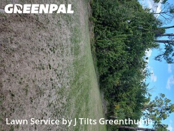 Lawn Cut nearby Port Charlotte, FL, 