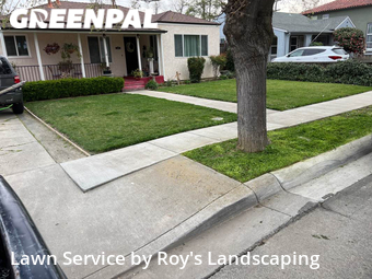Lawn Care nearby Tracy, CA, 