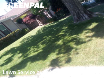 Yard Cutting nearby Modesto, CA, 