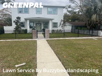 Lawn mowed in St. Petersburg, 33710