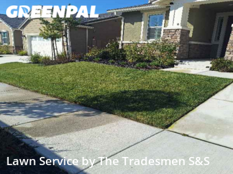 Lawn Cutting nearby Antioch, CA, 