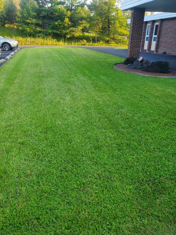 Oscar Bolanos Lawn Care Services in Endicott, NY