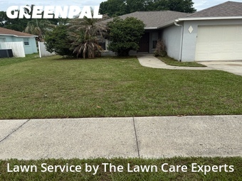 Grass Cutting nearby Auburndale, FL, 
