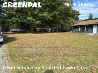 Grass Cut nearby Waterford Township, MI, 