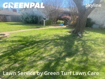 Grass Cutting nearby Mesquite, TX, 