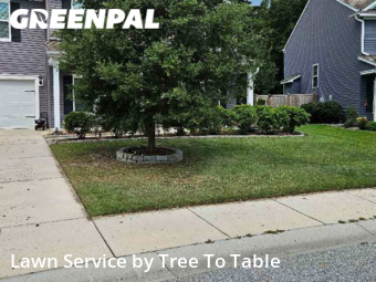 Lawn Care nearby Charleston, SC, 