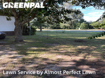 Lawn Maintenance nearby Ocala, FL, 
