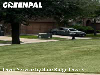 Lawn Mow nearby Princeton, TX, 