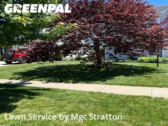 Lawn Cut nearby Berea, OH, 