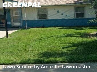 Grass Cut nearby Amarillo, TX, 