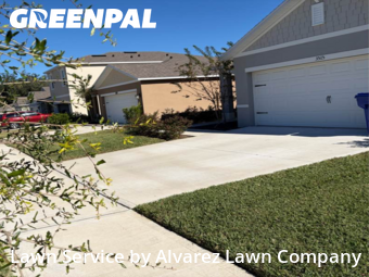 Lawn Cuttingin Ocoee,34761,Lawn Mow by Alvarez Lawn Company, work completed in Dec , 2025