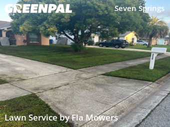 Lawn Care nearby Trinity, FL, 