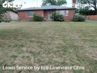 Grass Cut nearby Columbus, OH, 