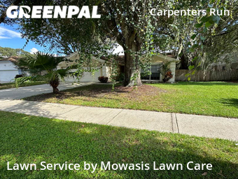 Yard Cutting nearby Lutz, FL, 