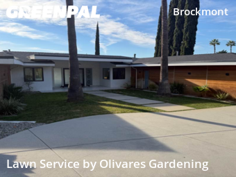 Landscaping Cleanup In Glendale,91202,Landscaping Renovation by Olivares Gardening , work completed in Dec , 2025