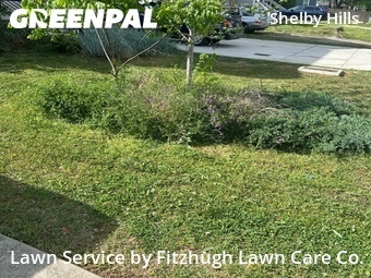 Lawn Mow nearby Nashville, TN, 