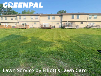 Yard Cutting nearby Lexington, KY, 